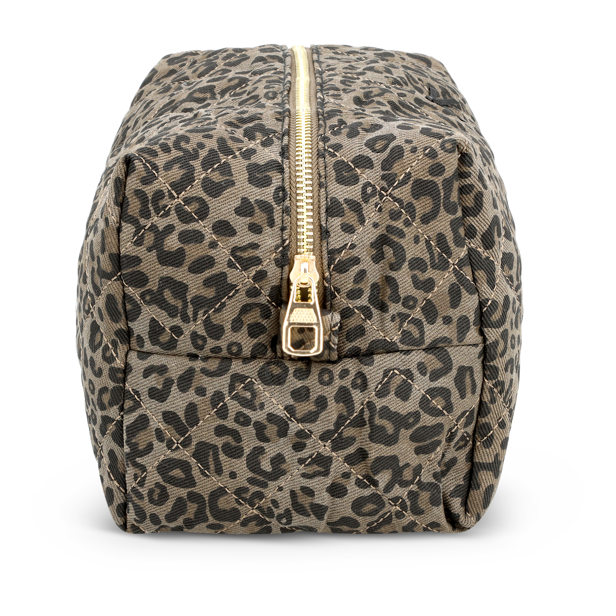 IMG_4753 IMG 4753 aviv yossef - אביב יוסף